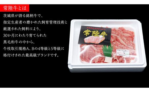 常陸牛 切り落とし 約 600g （茨城県共通返礼品：行方市） ひたちぎゅう 黒毛和牛 牛肉 ひたち牛 ブランド牛 切り落し 切落し [EQ021us]