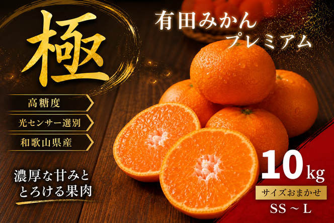 ＼光センサー選別／極 有田みかんプレミアム 約10kg【光センサー 高糖度選別品】2S～Lの小玉サイズ 有機質肥料100% | 光センサー選別 温州みかん みかん 高糖度 柑橘 果物 フルーツ 甘い◇