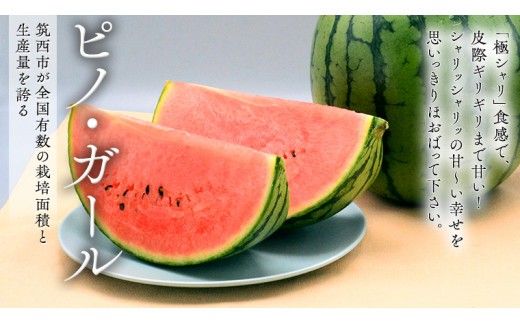 【 筑西ブランド 認証品 】 旬のフルーツ 定期便 ( 満足コース ) 2026年産 先行予約 JA 幸水 豊水 こだまスイカ 黒こだま ピノ・ガール 果物 フルーツ なし 和梨 小玉すいか 小玉 すいか スイカ [AE012ci]