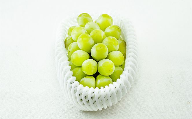 ぶどう 2026年 先行予約 マスカット・オブ・アレキサンドリア 1房 700g以上 化粧箱入り マスカット 岡山県産 国産 フルーツ 果物 ギフト 食後 デザート 上品な香り 果物の女王 さっぱり 爽やか 