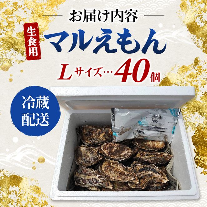 牡蠣 厚岸のブランド牡蠣 マルえもん Lサイズ 40個 生食用 魚貝類 海鮮 海のミルク 国産 生食用殻付き牡蠣 まろやか クリーミー 食べやすい品種 海の香り 牡蠣の酒蒸し 焼き牡蠣 マルえもん