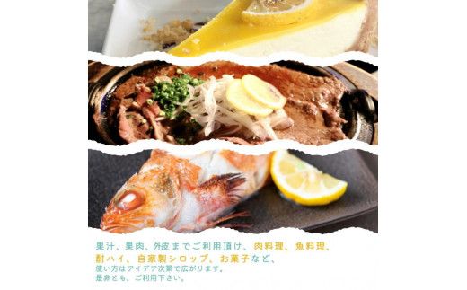 【ご家庭用訳あり】紀州有田産レモン　2.5kg【予約】※2026年3月上旬頃〜2026年3月中旬頃に順次発送予定(お届け日指定不可) レモン れもん 果物 柑橘【uot777】