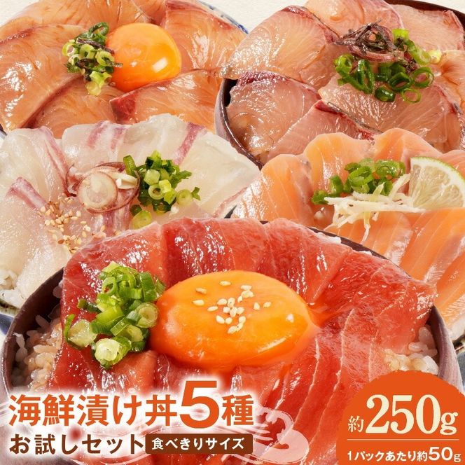 y{茧szCNЂ 5@Zbg N019-YA192