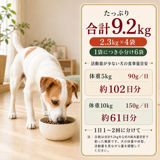 ビューティープロ ドッグ 10歳以上 2.3kg ｘ4(ケース単位) ドッグフード