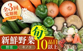 【毎月コース】野菜 キノコ 10品目以上 詰め合わせ 3回定期便 / 野菜定期便 やさい定期便 きのこ セット 定期便 / 南島原市 / 吉岡青果[SCZ022]