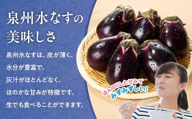 G5565 【先行予約】特選 無添加 水なす漬け 徳用水ナス セット【食べ比べ 新鮮 野菜 泉佐野産 茄子 やさい TONOファーム 高評価】