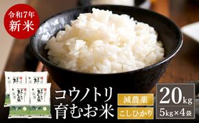 令和7年産　新米 減農薬 米 特別栽培米 20kg コウノトリ育むお米 但馬産 こしひかり 兵庫県産(5kg×4袋)（94-004）減農薬 お米 20キロ 精米 白米 コウノトリ米 コシヒカリ 新米 コメ こめ ご飯 ライス 減農薬米