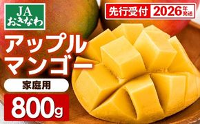 【先行受付】【2026年発送】JAおきなわの産直アップルマンゴー 約800g　2~4玉入り【ご家庭用・白箱】- 先行予約 沖縄 産地直送 南国フルーツ 旬の味覚 家庭用 オススメ 沖縄県 八重瀬町