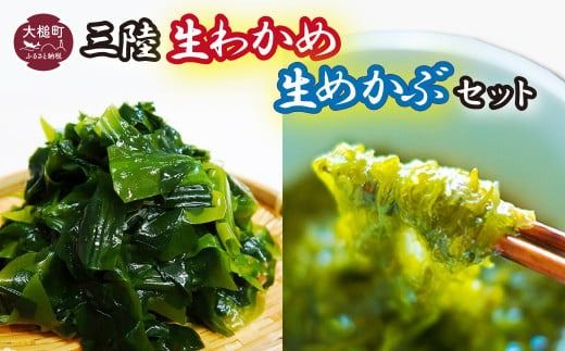 生めかぶと生わかめのセット 3kg（めかぶ1kg/わかめ2kg）【3月末～4月発送】【06】