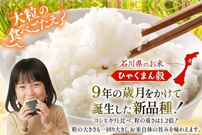 米 定期便 無洗米 ひゃくまん穀 5kg × 12回 総計60kg [中橋商事株式会社 石川県 宝達志水町 38601384] お米 コメ こめ kome ごはん 無洗 定期 12ヶ月 ひゃくまんごく 5キロ 能登