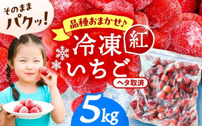 冷凍苺 5kg 果物 フルーツ 紅ほっぺ やよい姫 かんな姫 愛西市 / くぼ苺農園 【配達不可：離島】[AECJ027]