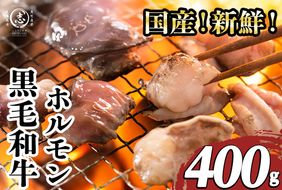 国産黒毛和牛ホルモン 焼肉用 (400g) p9-043