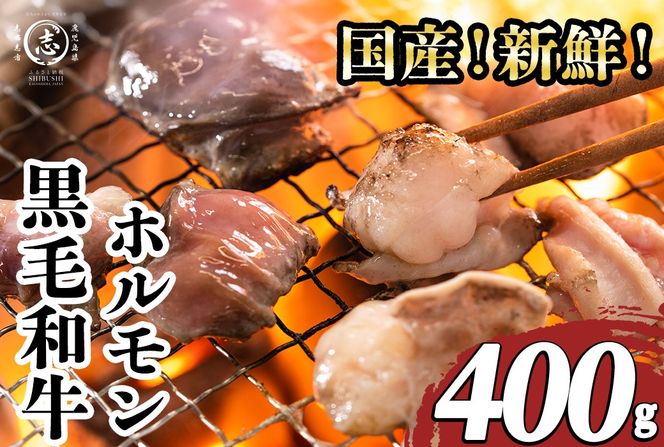 国産黒毛和牛ホルモン 焼肉用 (400g) p9-043