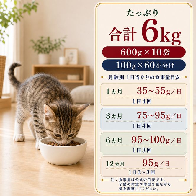 ビューティープロ キャット 子猫用 12ヵ月頃まで 600g ｘ10(ケース単位) キャットフード