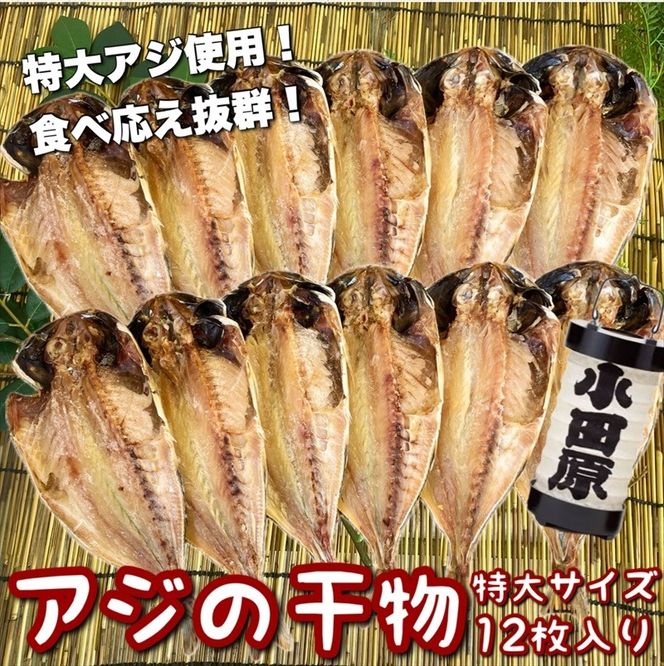 104-3096 鯵の干物 特大サイズ 12枚セット