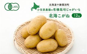 小笠原農園の有機じゃがいも「北海こがね」12kg 北海道 十勝 幕別 《2026年秋出荷先行予約》【 野菜 芋 じゃがいも とうや 北海こがね 】 