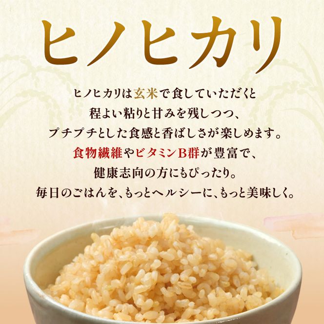 米 令和8年産 神大のおこめ（特別栽培米ヒノヒカリ）玄米30kg お米