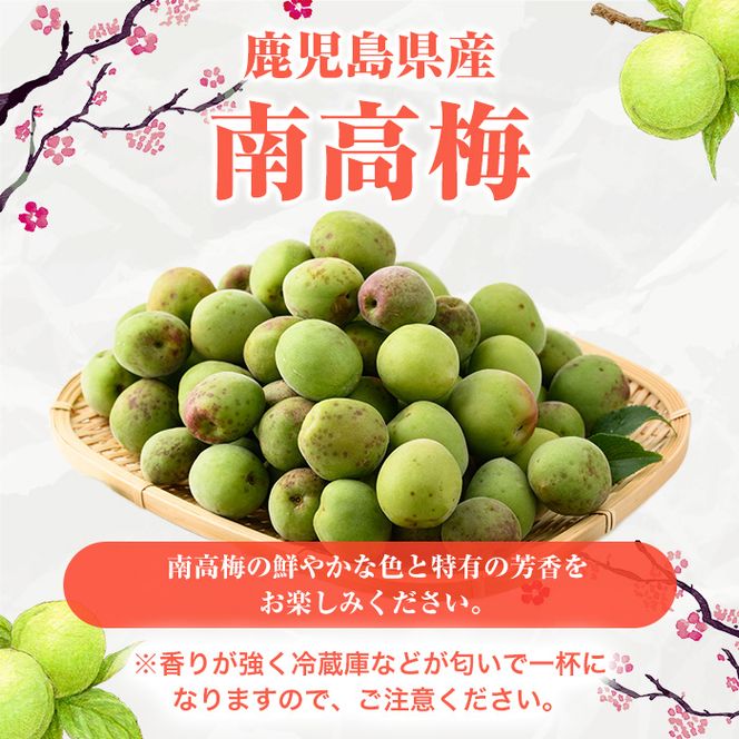 ＜先行予約受付中！2026年5月下旬以降順次発送予定＞訳あり！鹿児島県産 南高梅(約4kg) 国産 果物 梅 うめ ウメ ナンコウウメ 和食 梅干し 梅酒 梅シロップ 訳アリ サイズ混合 期間限定【松永青果】akn053-09