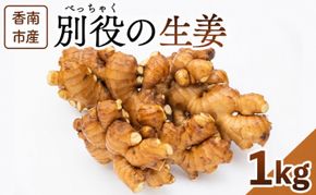 生姜1kg 香南市産 別役の生姜 - 生姜 しょうが ショウガ ジンジャー 薬味 調味料 国産 株式会社べっちゃく 高知県 香南市 生姜焼き bc-0033
