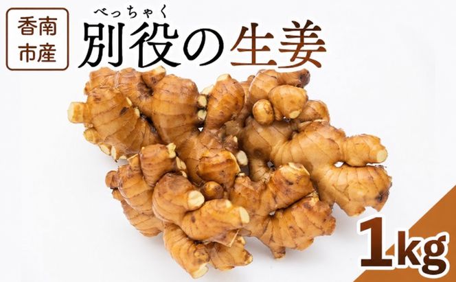 生姜1kg 香南市産 別役の生姜 - 生姜 しょうが ショウガ ジンジャー 薬味 調味料 国産 株式会社べっちゃく 高知県 香南市 生姜焼き bc-0033