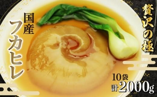 期間限定 国産天然ふかひれ姿煮 10個セット ［ PT0074-000004-X1-X2 ］