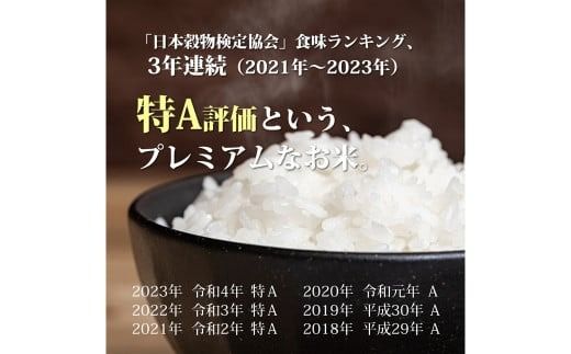 【令和7年産】福岡県産 【特A】評価のお米「元気つくし」5kg×2袋（10kg）白米 精米 お米 米