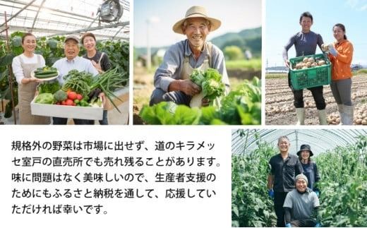 季節のお野菜詰め合わせセット 定期便 2回 旬のおまかせ 詰め合わせ 産地直送 季節の新鮮 野菜 定期便 果物 セット じゃがいも きゅうり トマト とうもろこし アスパラガス 玉ねぎ 蓮根 等 ふるさと納税 高知県 室戸市 rk051