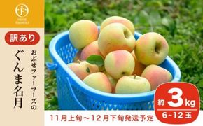 【訳あり】 ぐんま名月 約3kg 6～12玉 ［おぶせファーマーズ］ 不揃い 規格外 家庭用 果物 フルーツ りんご リンゴ 林檎 長野県産 信州産 令和7年産 【2025年11月上旬～12月下旬発送】 ［FH-55］