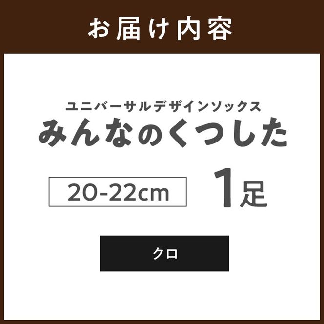みんなのくつした 1足(20-22cm)【クロ】《 くつした 靴下 ソックス 加古川市 送料無料 》【2500T16801_04】