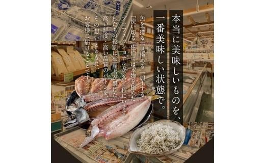 老舗海産物問屋 選りすぐり干物 セット 青 (7種) 干物 あじ 鯵 さば 鯖 みりん ちりめん 海鮮 魚 鰯 イワシ いわし かます セット 詰合せ 【BQ83】【佐伯海産】