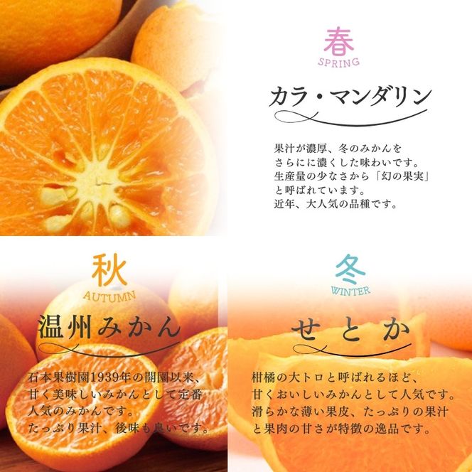 【全3回】 柑橘 定期便 石本果樹園 旬の柑橘を春秋冬でお届け！ /  フルーツ 果物 くだもの 柑橘 フルーツ定期便 くだもの定期便 定期便 みかん ミカン 温州みかん せとか カラマンダリン  産地直送 旬 人気 おすすめ 三重県 紀宝町【tkb510】