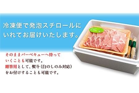えころとん・豚肉6種(計1200g)　豚肉バーベキューセット《60日以内に出荷予定(土日祝除く)》熊本県産 有限会社ファームヨシダ---so_ffarmy6bbq_60d_r7_15000_1200g---