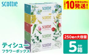【スコッティ】 ティシュー フラワーボックス 250組 5箱 ティッシュ 日用品 生活必需品 防災備蓄 ストック 備蓄 新生活 防災 消耗品 生活用品 日用消耗品 箱ティッシュ