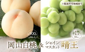 桃 ぶどう 2026年 先行予約 清水 白桃 3玉合計 約900g （1玉約300g） シャインマスカット 晴王 1房 550g以上もも 葡萄 詰合せ 岡山 国産 フルーツ 果物 ギフト 桃茂実苑