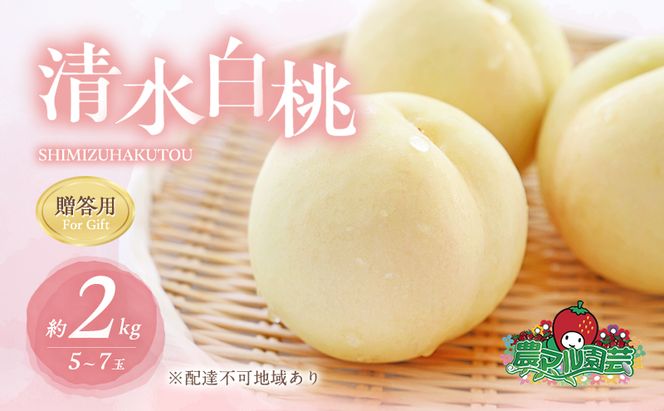 桃 2026年 先行予約 清水 白桃 約2kg 5～7玉 贈答用 もも モモ フルーツ 果物 岡山 赤磐市産 農マル園芸 あかいわ農園