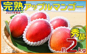【2027年発送】農園一番人気の完熟アップルマンゴー秀品・約2kg農園から直送！