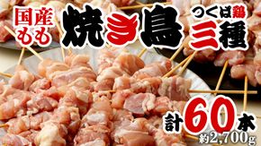 1本45g！合計約2700g！食べ応えバツグン、つくば鶏 焼き鳥 モモ 3種60本 セット （各20本入り） 焼鳥 鶏肉 おかず おつまみ [AI11-NT]