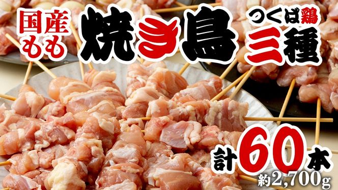 1本45g！合計約2700g！食べ応えバツグン、つくば鶏 焼き鳥 モモ 3種60本 セット （各20本入り） 焼鳥 鶏肉 おかず おつまみ [AI11-NT]