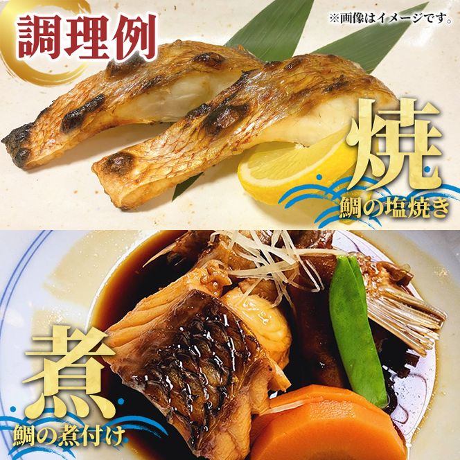 養殖真鯛切身(約1kg) 鹿児島県 阿久根市 たい タイ 真鯛 魚貝 魚介 海産物 切身 切り身 煮物 煮つけ 焼き魚 おかず おつまみ 小分け 【さるがく水産】akn028-46