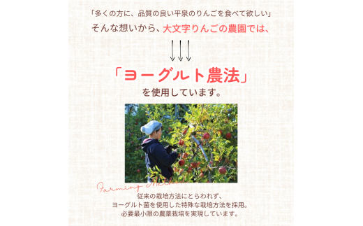 黄金（りんご）ジュース 1,000ml×3本 〈平泉町産 完熟りんご 100％使用〉/ りんご リンゴ りんごジュース リンゴジュース 林檎 果物 くだもの フルーツ 甘い 飲料 果汁飲料 大文字りんご園【dma100-1lx3A】