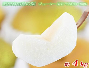 ジューシー果汁の紀州有田産の梨約４kg 　化粧箱入【先行予約】【2025年8月下旬以降発送予定】 	AN028