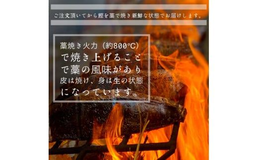 ～四国一小さなまち～ 特選わら焼き戻り鰹のタタキ 約450g×1節 ニンニク1玉・たれ・薬味付き カツオ かつお 鰹のたたき 鰹タタキ 刺身 つまみ お取り寄せ