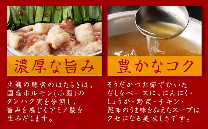 015B570 牛もつ鍋セット 15人前【国産 牛肉 ホルモン 塩こうじ スープ付き モツ 鍋 高評価 冷凍 鍋セット 簡単調理】