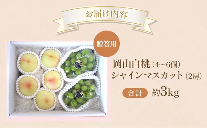 桃 ぶどう 2027年 先行受付 贈答用 白桃 シャインマスカット 詰め合わせ 約3kg フルーツ 果物 岡山 赤磐市