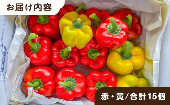 糸島産 肉厚 パプリカ 15個 福岡県 糸島市 / シーブ [AHC032] 野菜 やさい パプリカ ピーマン 肉厚 生 ピクルス マリネ 肉詰め