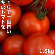 鈴鹿山麓トマト 中玉トマト「レッドオーレ」箱詰め（1.8kg入り）【トマト ミニトマト 採れたて 自然 栽培 水耕栽培 野菜 甘い あまい おいしい 美味しい 三重県 四日市市 ふるさと納税】