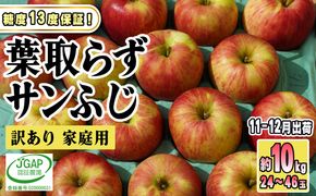11～12月発送【糖度保証】家庭用 葉取らず サンふじ 約10kg【訳あり】【鶴翔りんごGAP部会 青森県産 津軽産 リンゴ 林檎】 果物 希少 完熟 JGAP認証 安心 丸かじり 甘い 高糖度 