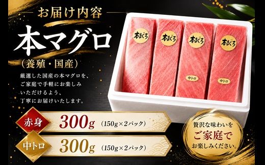 【2-134】国産本まぐろ中トロ赤身冷凍短冊セット　600ｇ以上