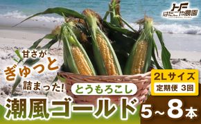 ［2027年発送 先行予約 夏の味覚］［定期便・全3回］潮風ゴールド 2Lサイズ 5～8本 1セット とうもろこし トウモロコシ ゴールドラッシュ 黄色 スイートコーン 茹でとうもろこし BBQ 焼き肉 白浜町 304018_ET08
