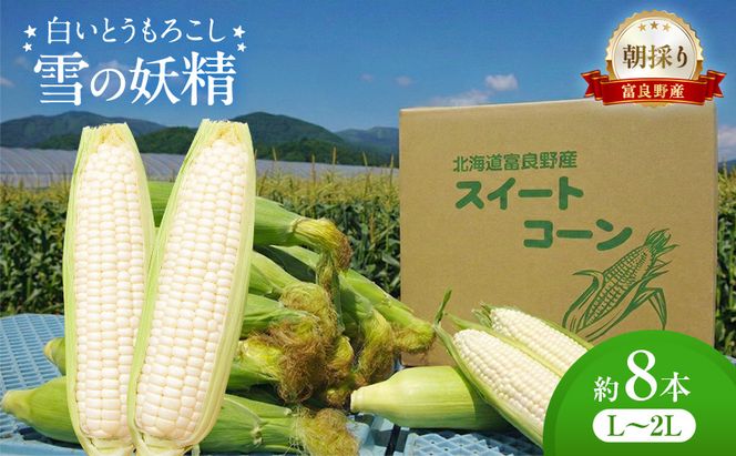 朝採り 白いとうもろこし 「雪の妖精」 北海道富良野産 L～2L 約8本 [ とうもろこし とうきび コーン ホワイトコーン 野菜 北海道 富良野 ]